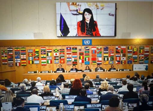 «المشاط»: مستعدون للتعاون مع بنك التنمية الجديد لتبادل الخبرات بشأن التقييم الفعّال لجهود التعاون الإنمائي