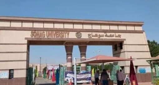 رئيس جامعة سوهاج: أكثر من نصف مليون مواطن ترددوا على مستشفيات الجامعة بـ2024