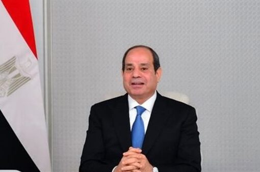 الرئيس السيسي يوجه بالانتهاء من الإجراءات التنفيذية لبدء مبادرة الرواد الرقميون