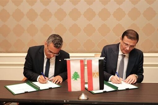 مصر ولبنان تتفقان على زيادة تبادل السلع الزراعية بين البلدين