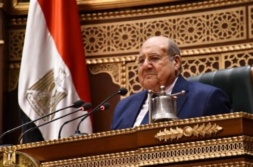 رئيس مجلس الشيوخ: الإقبال على الانتخابات مبشر وندعو الجميع للمشاركة