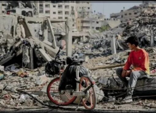 سيد سعيد يكتب “لن تركع غزة”