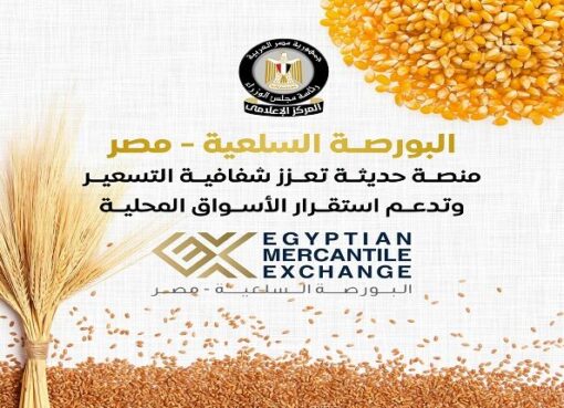 الحكومة: 21.5 مليار جنيه إجمالي قيم التداولات بالبورصة السلعية بنهاية يوليو 2025.. أبرزها القمح والسكر
