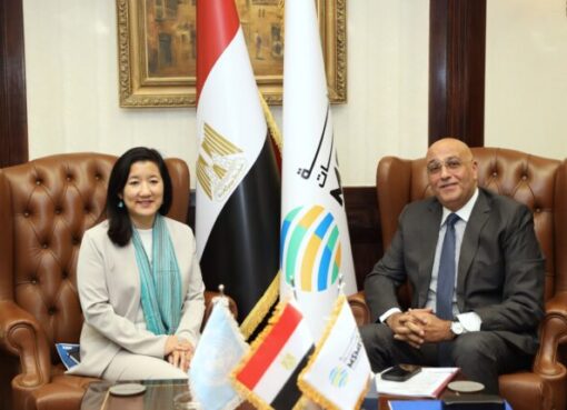 باسل رحمي: برنامج الأمم المتحدة الإنمائي في مصر شريك استراتيجي لجهاز تنمية المشروعات في كافة برامجه الإنمائية
