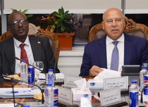 مصر والسودان تنفذان خطة لرفع كفاءة 18 وحدة نهرية