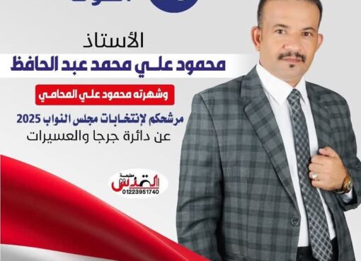 محمود علي محمد  عبد الحافظ يجب ضخ الدماء الجديدة في شرايين العمل السياسي