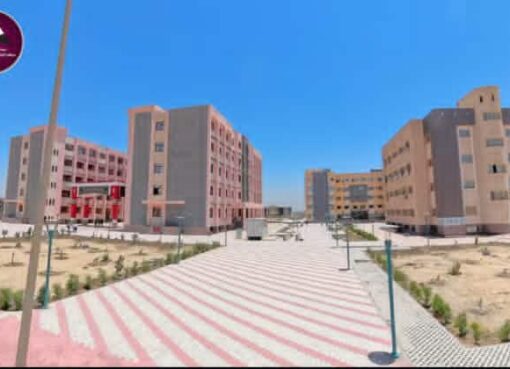 بالفيديو.. مركز المعلومات بمجلس الوزراء يستعرض أبرز إنجازات المنشآت التعليمية والصحية بجامعة سوهاج